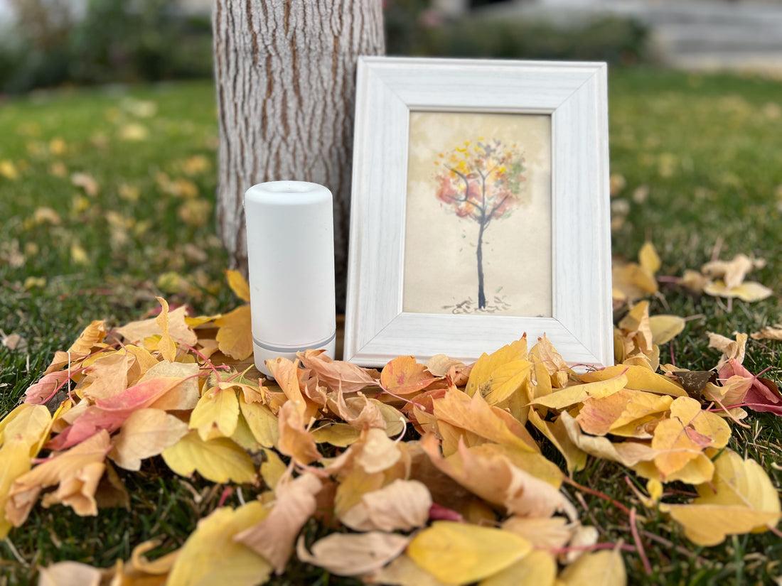 Experience Fall Colors and Scents with MojiLife: The Best Non-Toxic Fragrances for Autumn